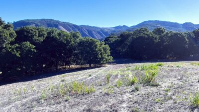7HF_05_5304 - 7 Holding Field Run - La Tierra Realty 2023