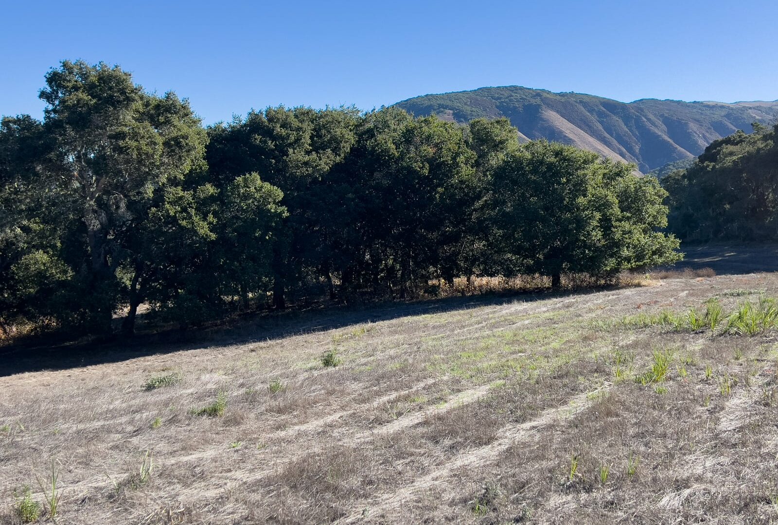 7HF_06_5305 - 7 Holding Field Run - La Tierra Realty 2023