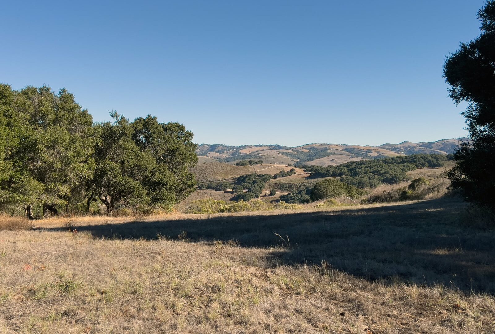 7HF_08_5307 - 7 Holding Field Run - La Tierra Realty 2023