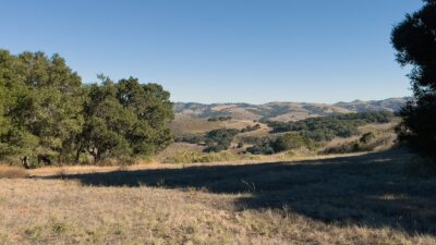 7HF_08_5307 - 7 Holding Field Run - La Tierra Realty 2023