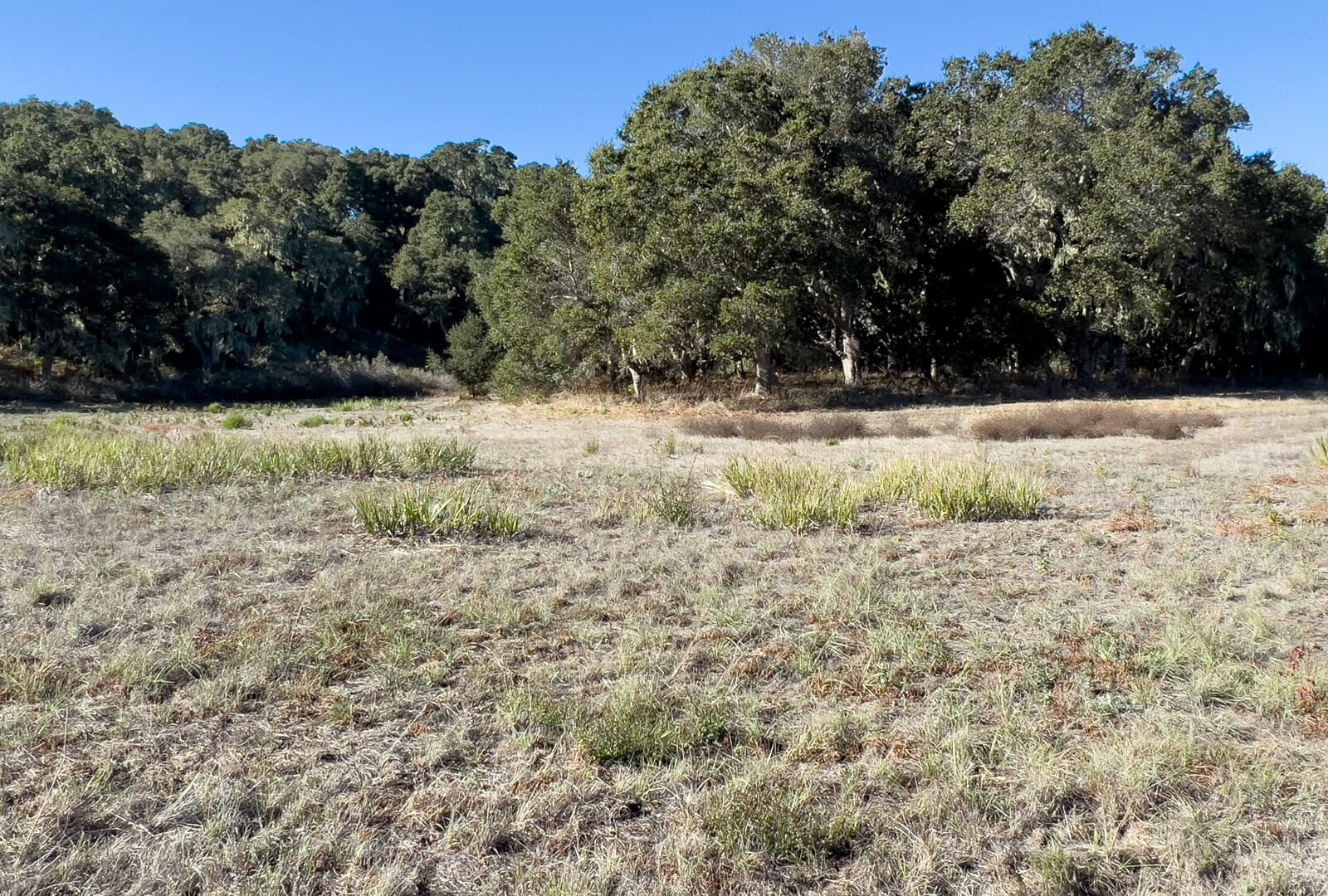 7HF_10_5311 - 7 Holding Field Run - La Tierra Realty 2023