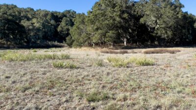 7HF_10_5311 - 7 Holding Field Run - La Tierra Realty 2023