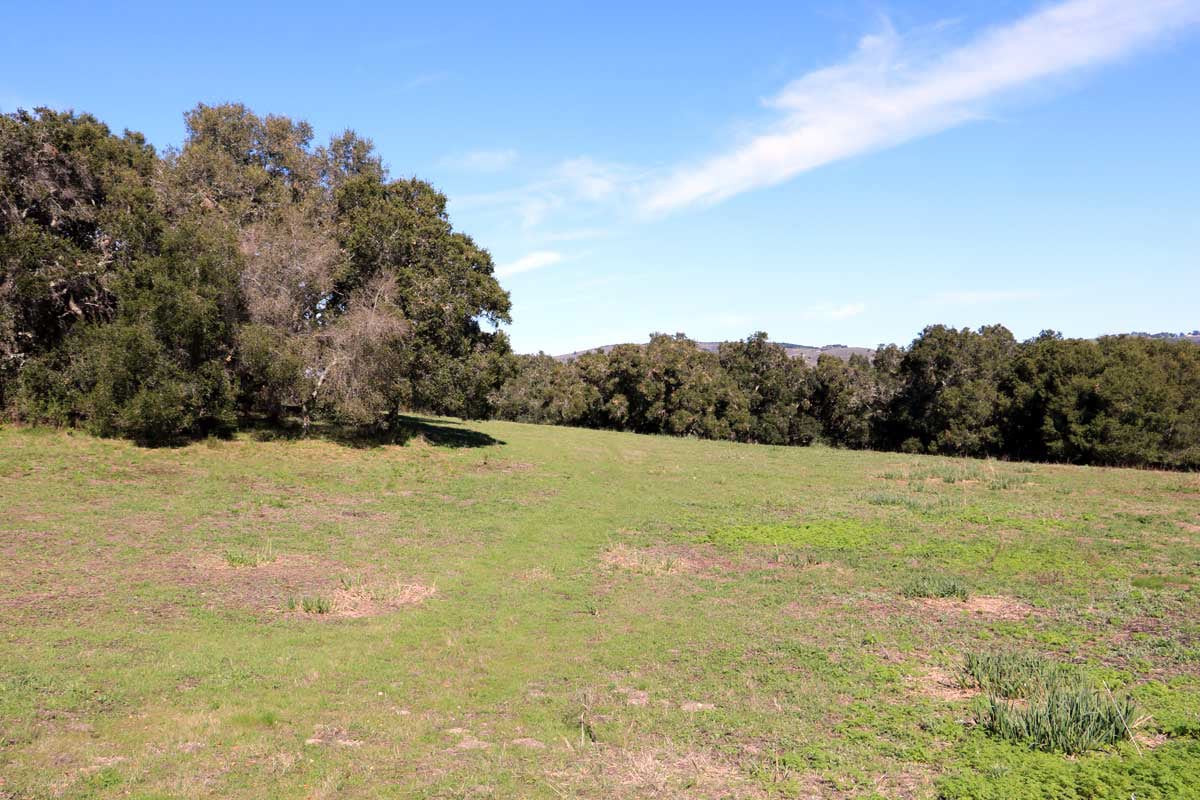 7HF_11 - 7 Holding Field Run - La Tierra Realty 2023