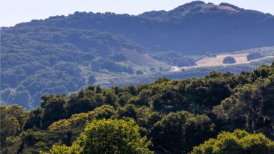 8-21-15-Potrero-Trail-LR - © Compass Realty 2025