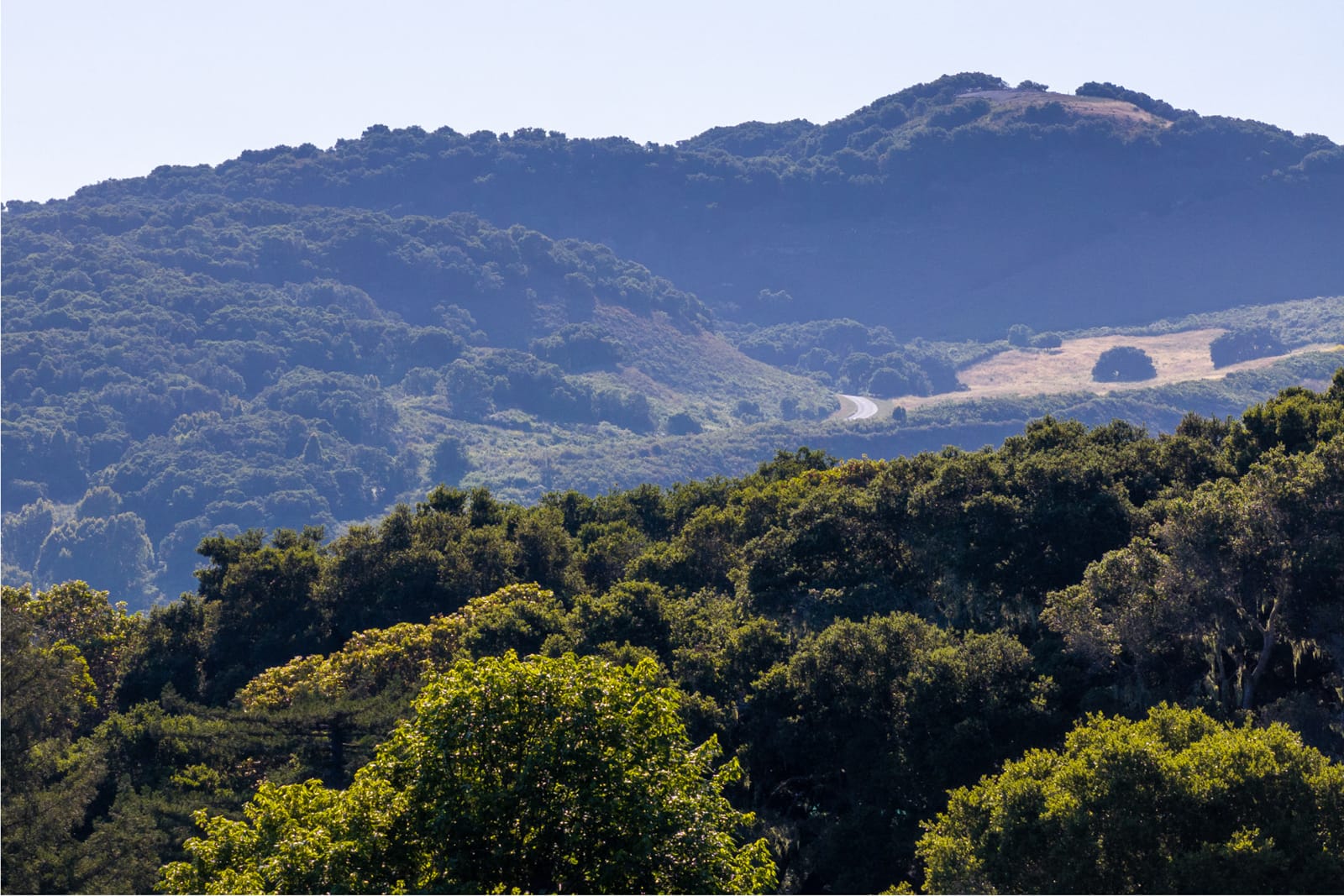 8-21-15-Potrero-Trail-LR - © Compass Realty 2025