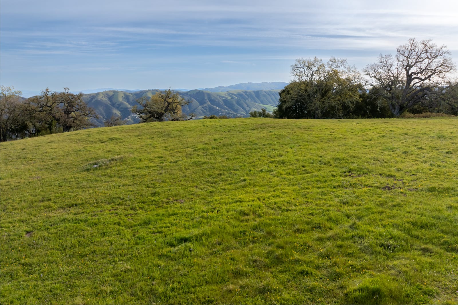 8 - 24_Vasquez_Trail_011 - © Canning Properties Group 2025