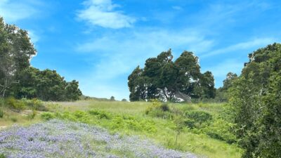 8 8 Corral Run - © Carmel Realty Company 2025