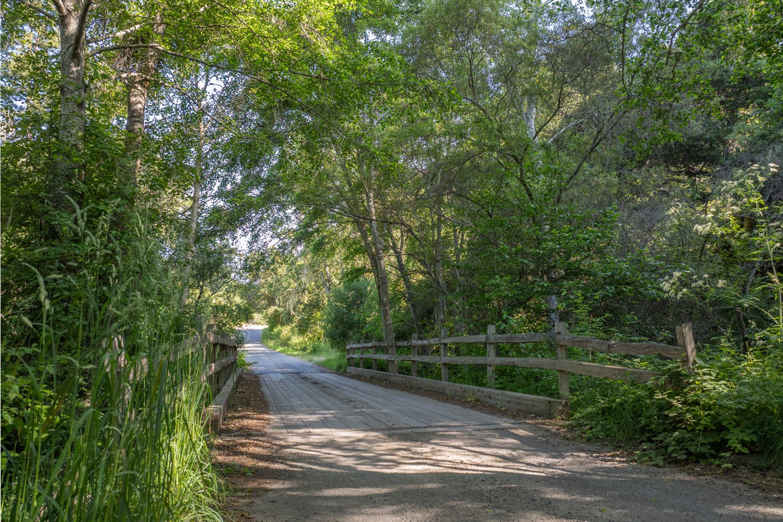 9-2-24-15-Potrero-Trail-LR - © Compass Realty 2025