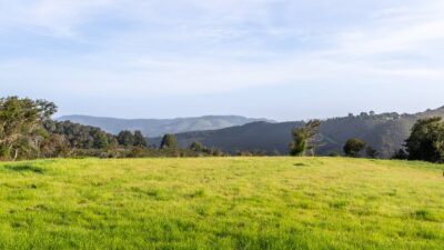 9-29-17-Rancho-San-Carlos-Rd-LR-Canning Properties Group 2025 downsized
