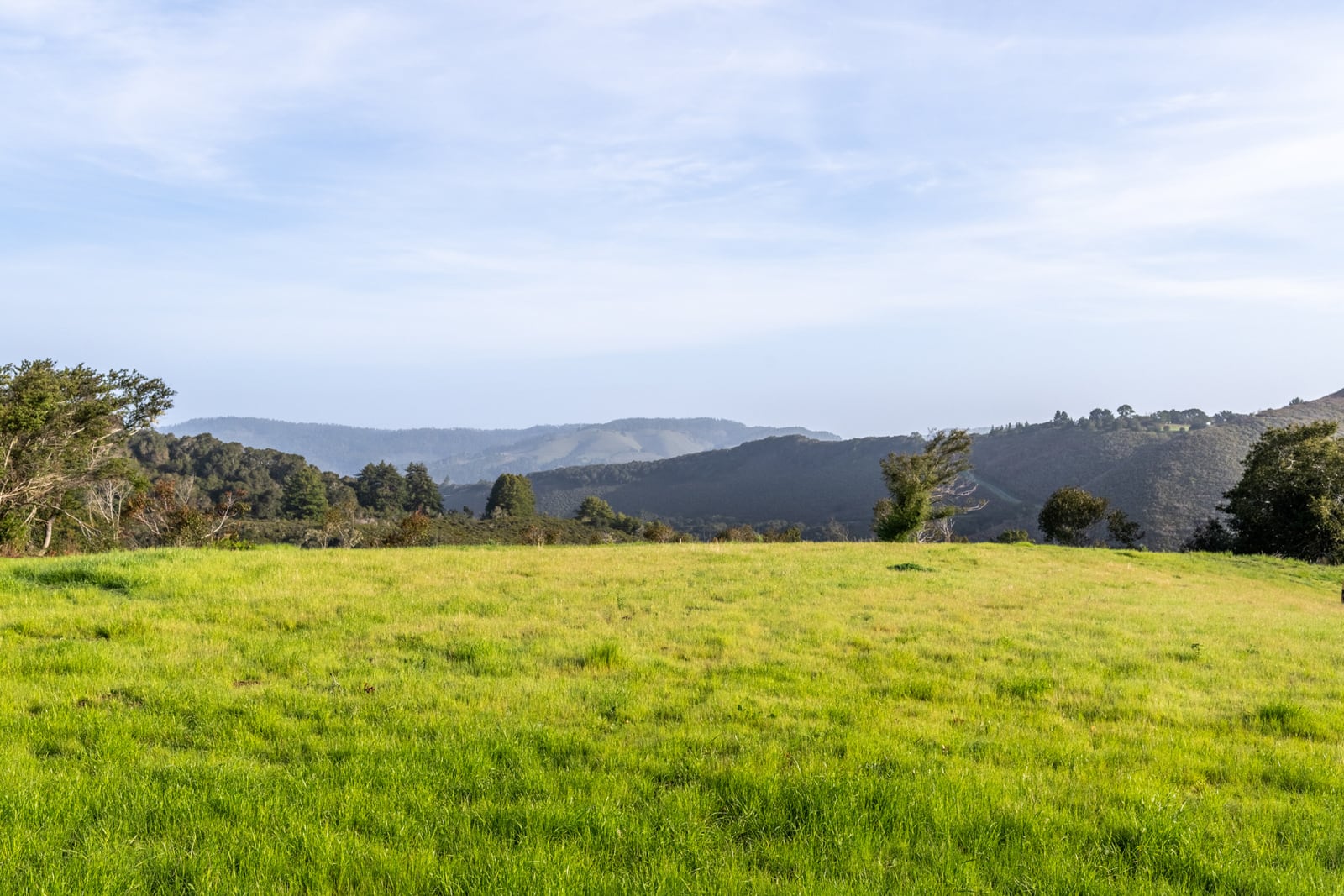 9-29-17-Rancho-San-Carlos-Rd-LR-Canning Properties Group 2025 downsized