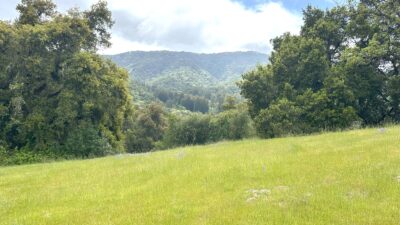 9 29 AS - 29 Arroyo Sequoia - © Carmel Realty Company 2025