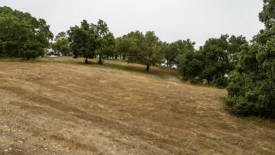 9-62 Chamisal Pass- - © Carmel Realty Company