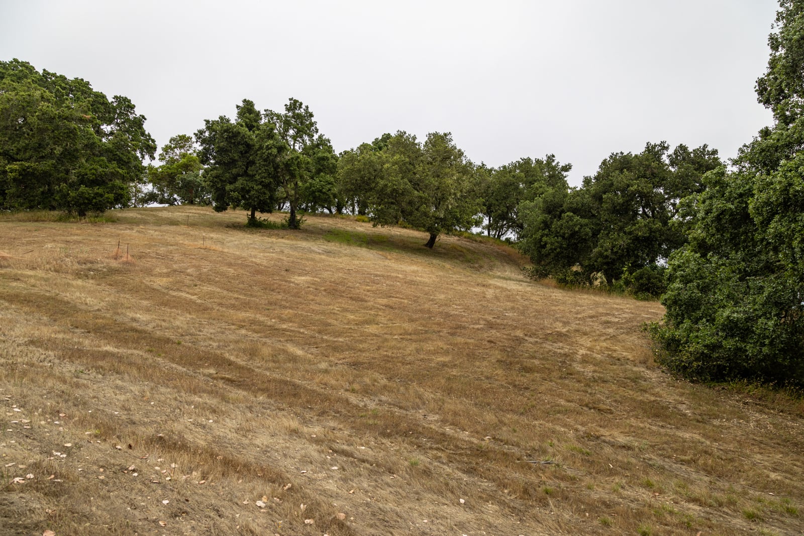 9-62 Chamisal Pass- - © Carmel Realty Company