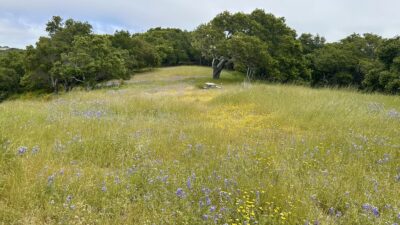 9 8 Corral Run - © Carmel Realty Company 2025