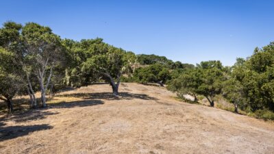 9-9-8 Corral Run- - Carmel Realty Company 2023