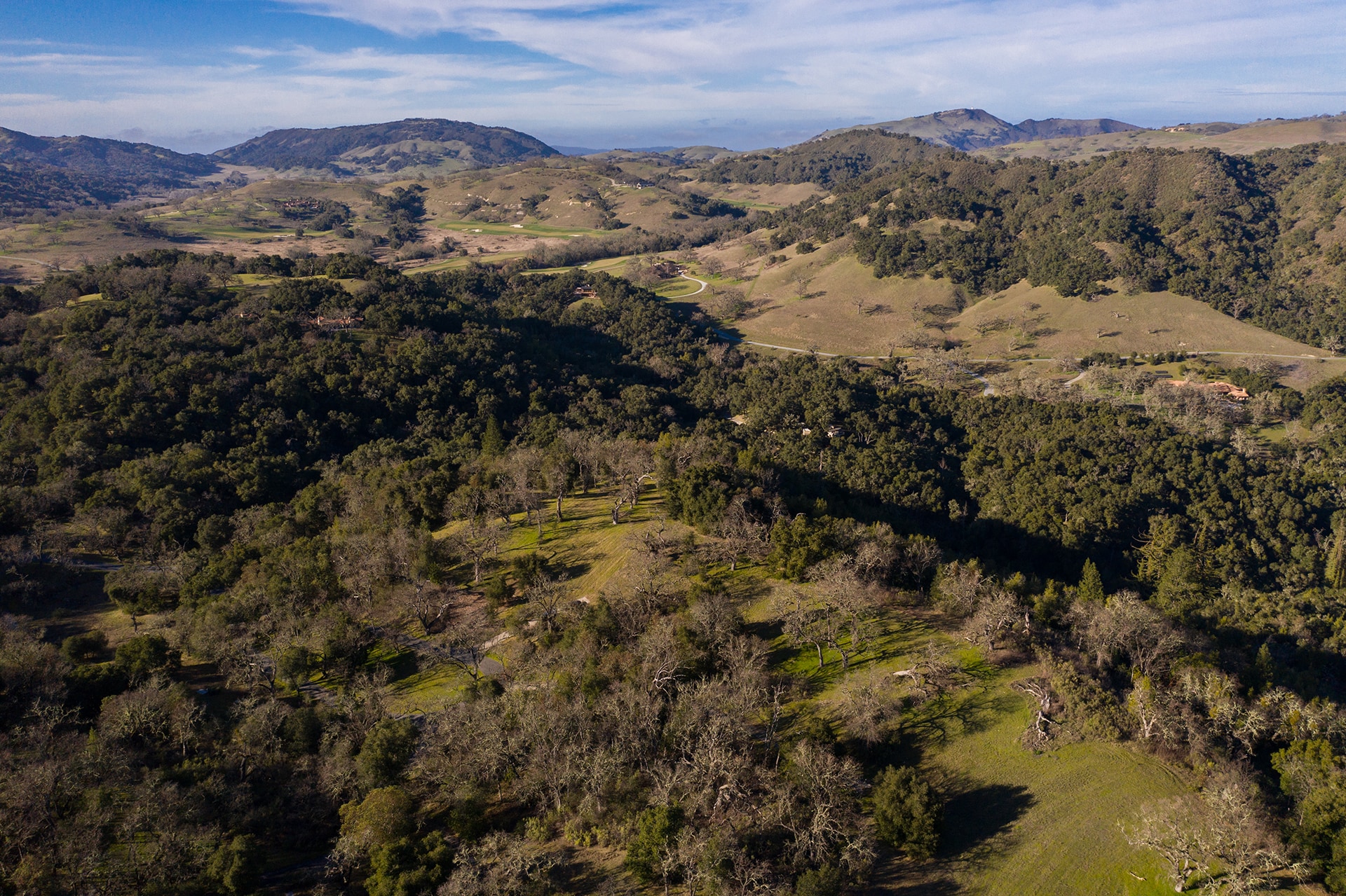 37 Arroyo Sequoia