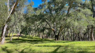 IMG_1217_R