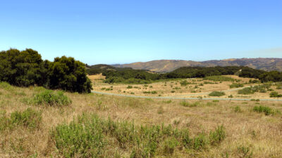 Img_12MT_12 RT