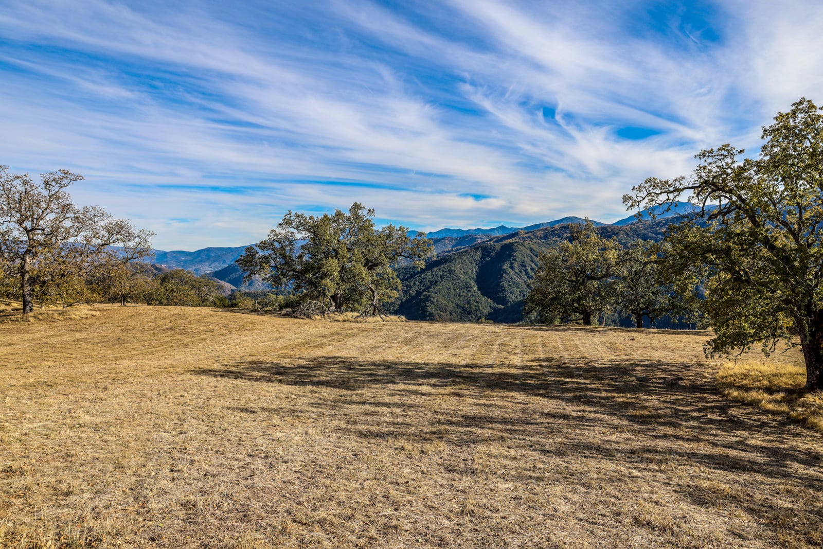 Lot 232_MLS_02 - 14 Long Ridge Trail - © La Tierra Realty - web res