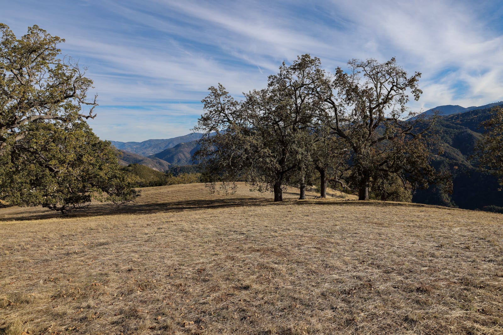 Lot 233_054_mls06 - 16 Long Ridge Trail - © La Tierra Realty - web res