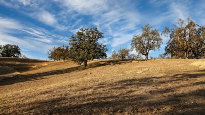 Lot 233_082_mls10 - 16 Long Ridge Trail - © La Tierra Realty - web res