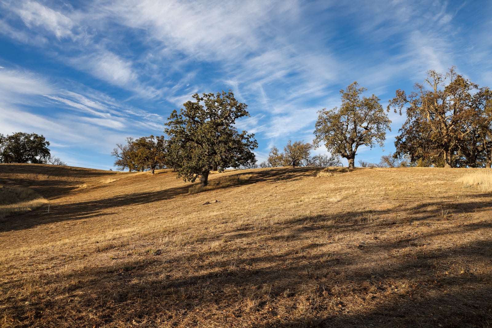 Lot 233_082_mls10 - 16 Long Ridge Trail - © La Tierra Realty - web res