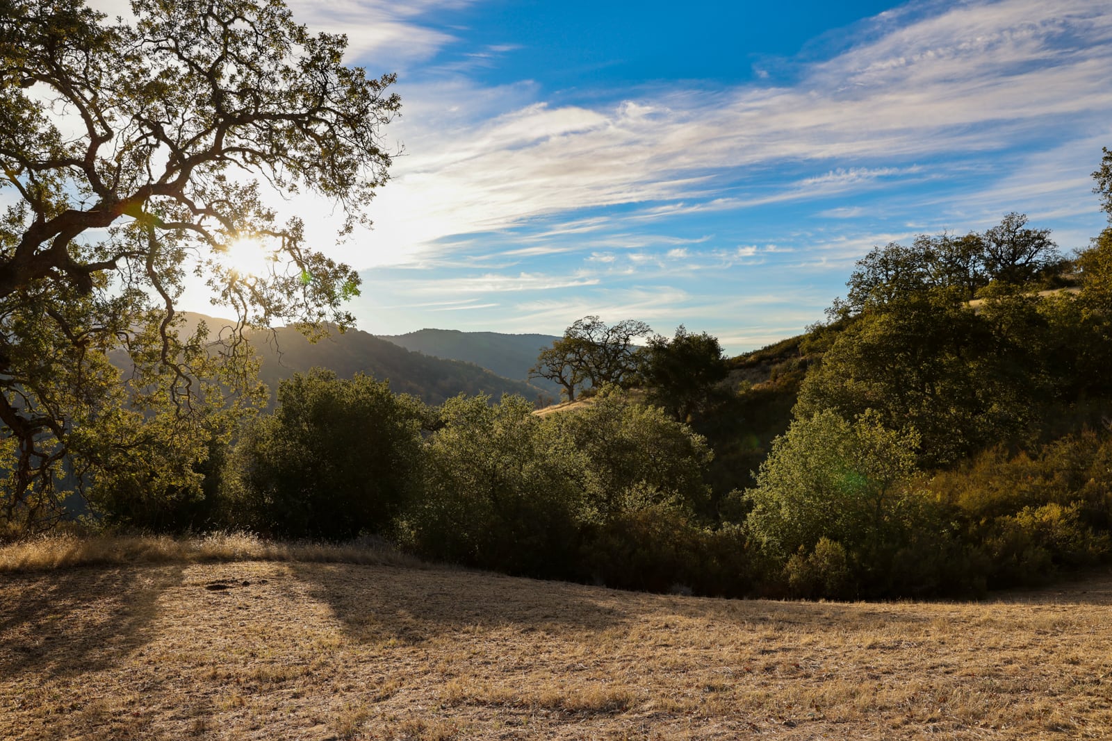 Lot 233_084_mls11 - 16 Long Ridge Trail - © La Tierra Realty - web res