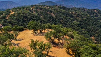 Lot 236
21 Long Ridge Santa Lucia Preserve