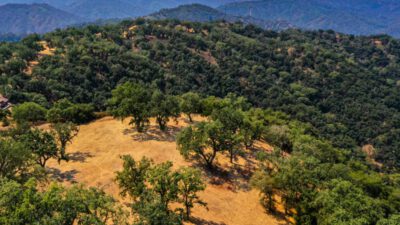 Lot 236
21 Long Ridge  Santa Lucia Preserve