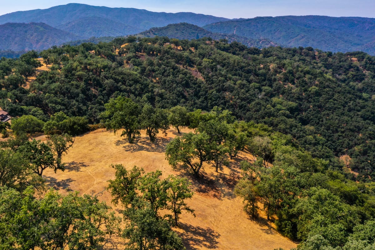 Lot 236
21 Long Ridge  Santa Lucia Preserve