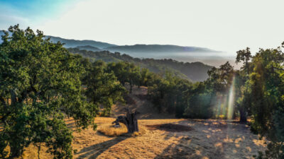 Lot 236
21 Long Ridge Trail  Santa Lucia Preserve