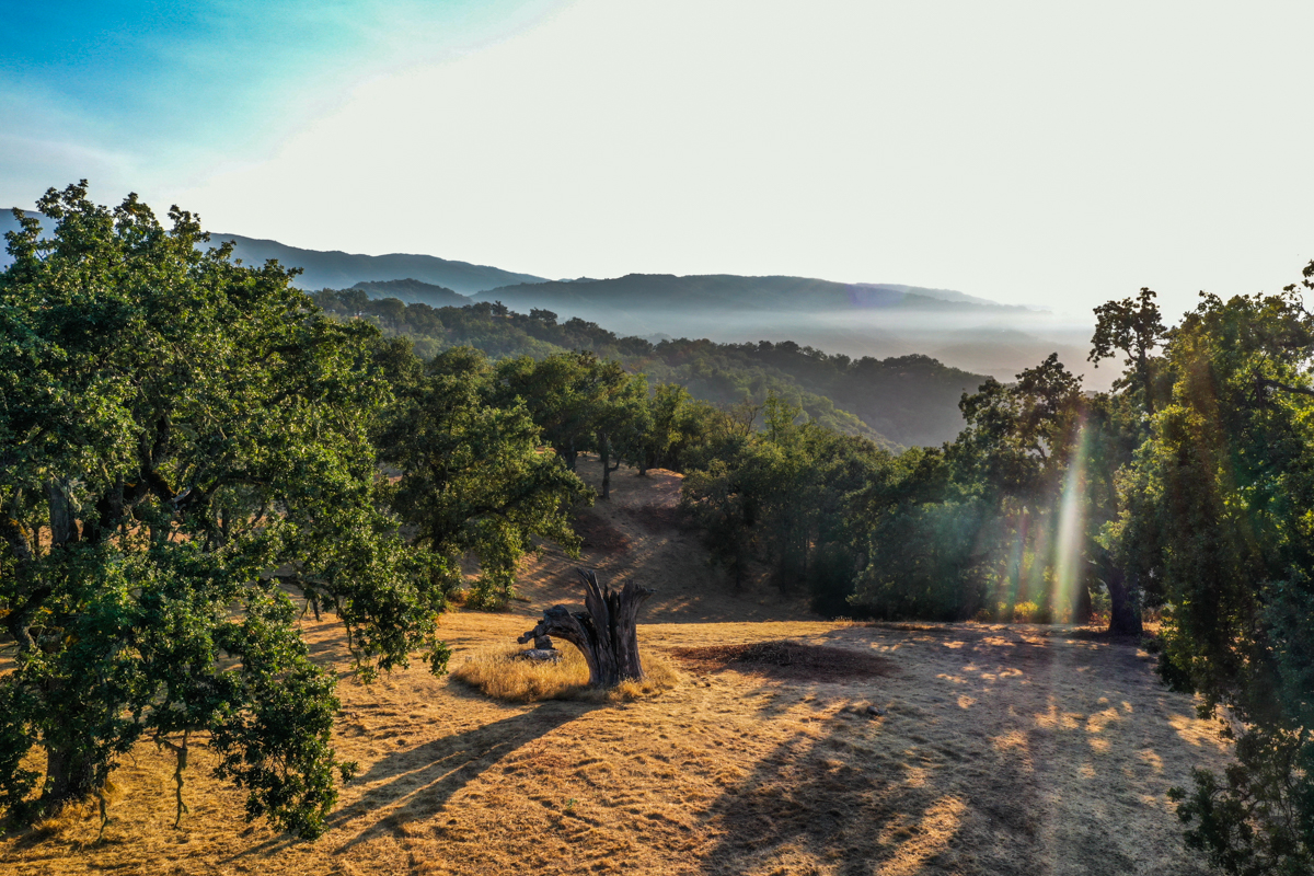Lot 236
21 Long Ridge Trail Santa Lucia Preserve