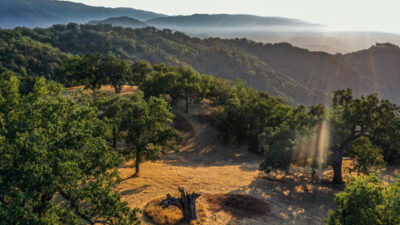 Lot 236
21 Long Ridge Trail  Santa Lucia Preserve