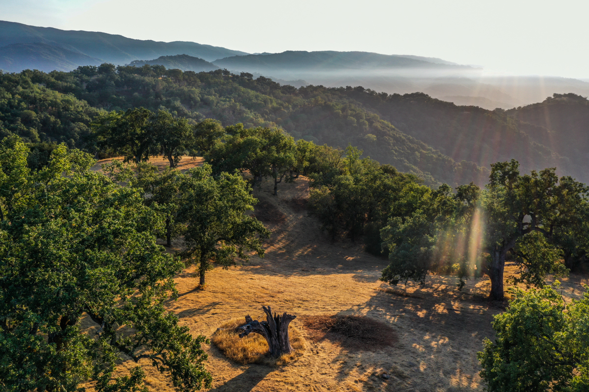 Lot 236
21 Long Ridge Trail  Santa Lucia Preserve