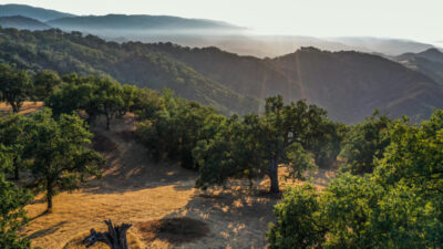 Lot 236
21 Long Ridge Trail  Santa Lucia Preserve