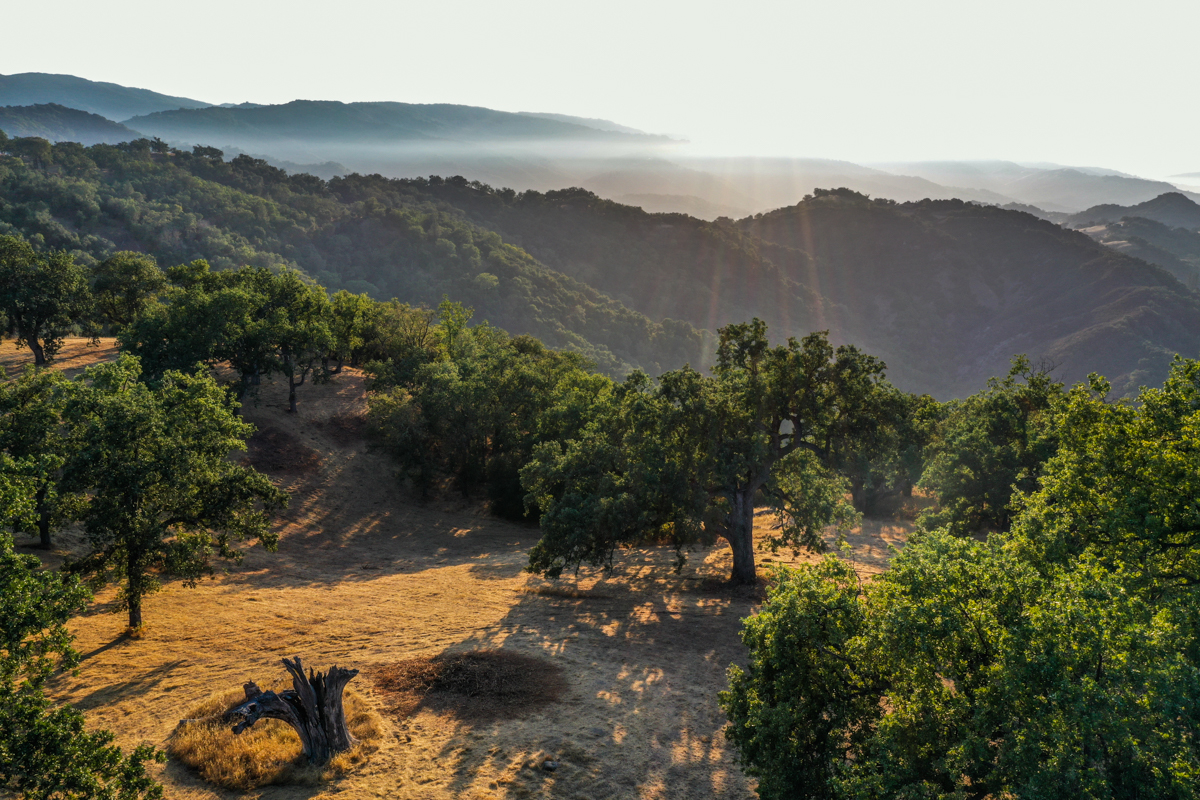 Lot 236
21 Long Ridge Trail  Santa Lucia Preserve