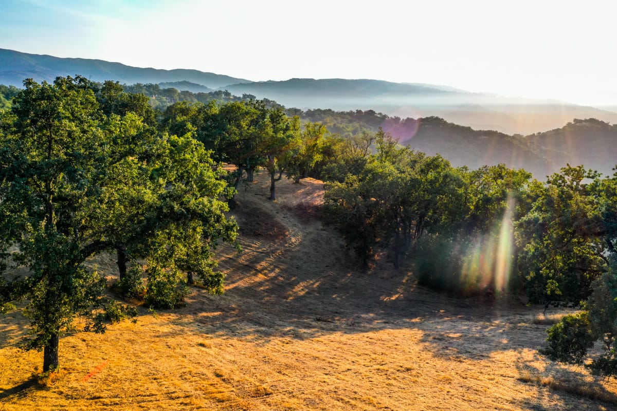 Lot 236
21 Long Ridge Trail  Santa Lucia Preserve