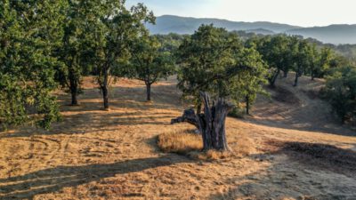 Lot 236
21 Long Ridge Trail  Santa Lucia Preserve