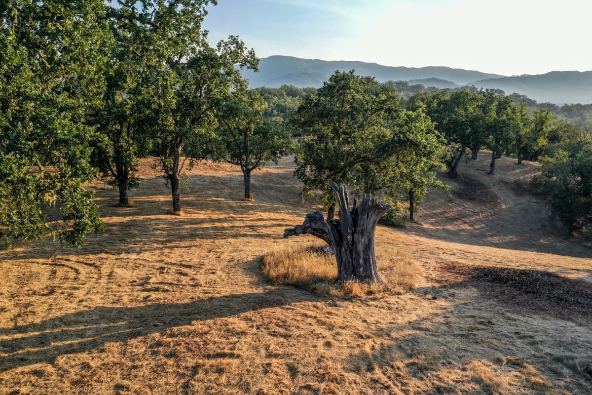 Lot 236
21 Long Ridge Trail Santa Lucia Preserve