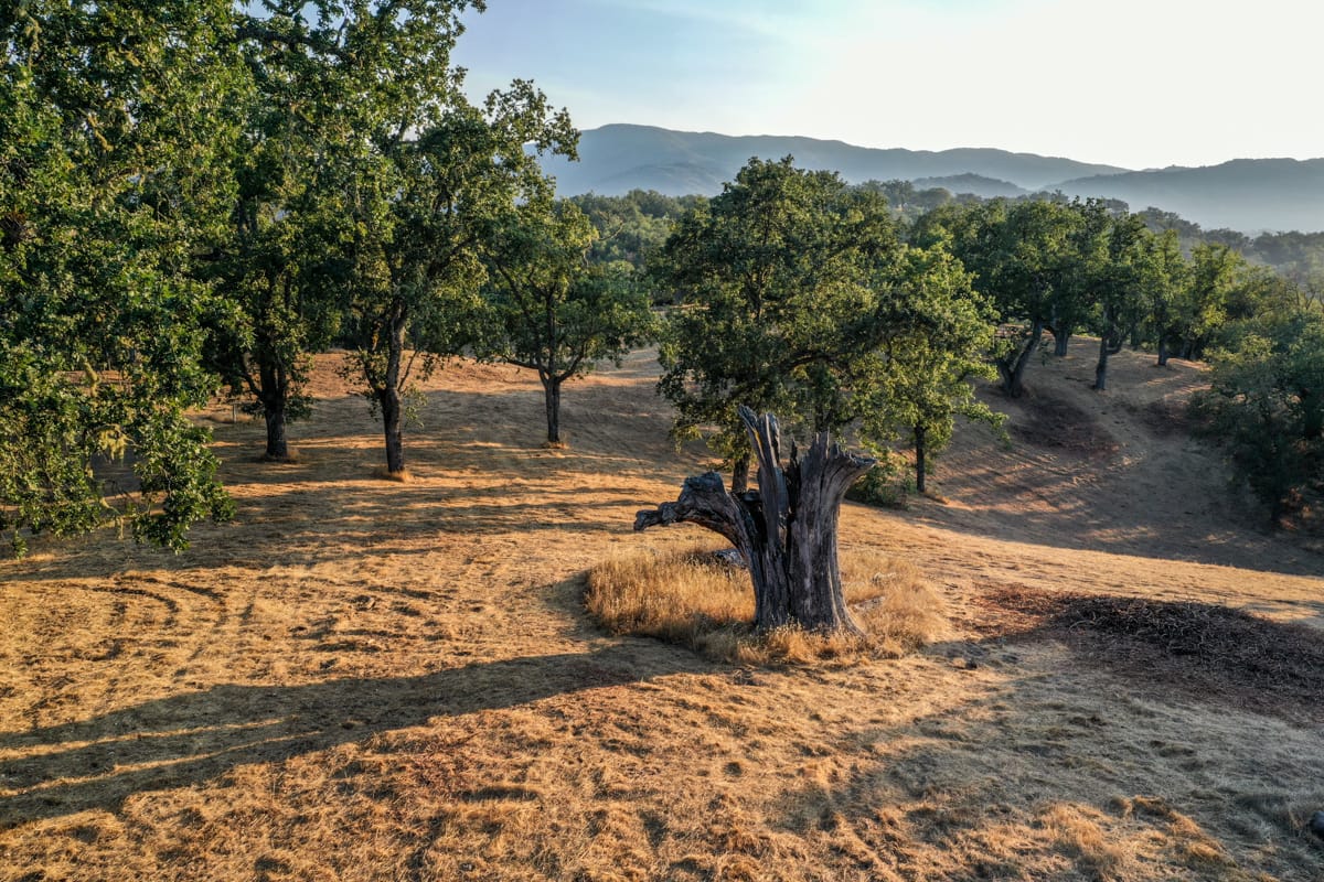 Lot 236
21 Long Ridge Trail  Santa Lucia Preserve