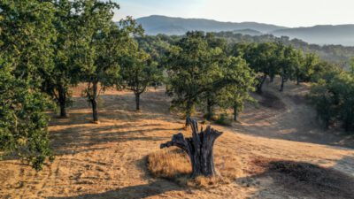 Lot 236
21 Long Ridge Trail  Santa Lucia Preserve