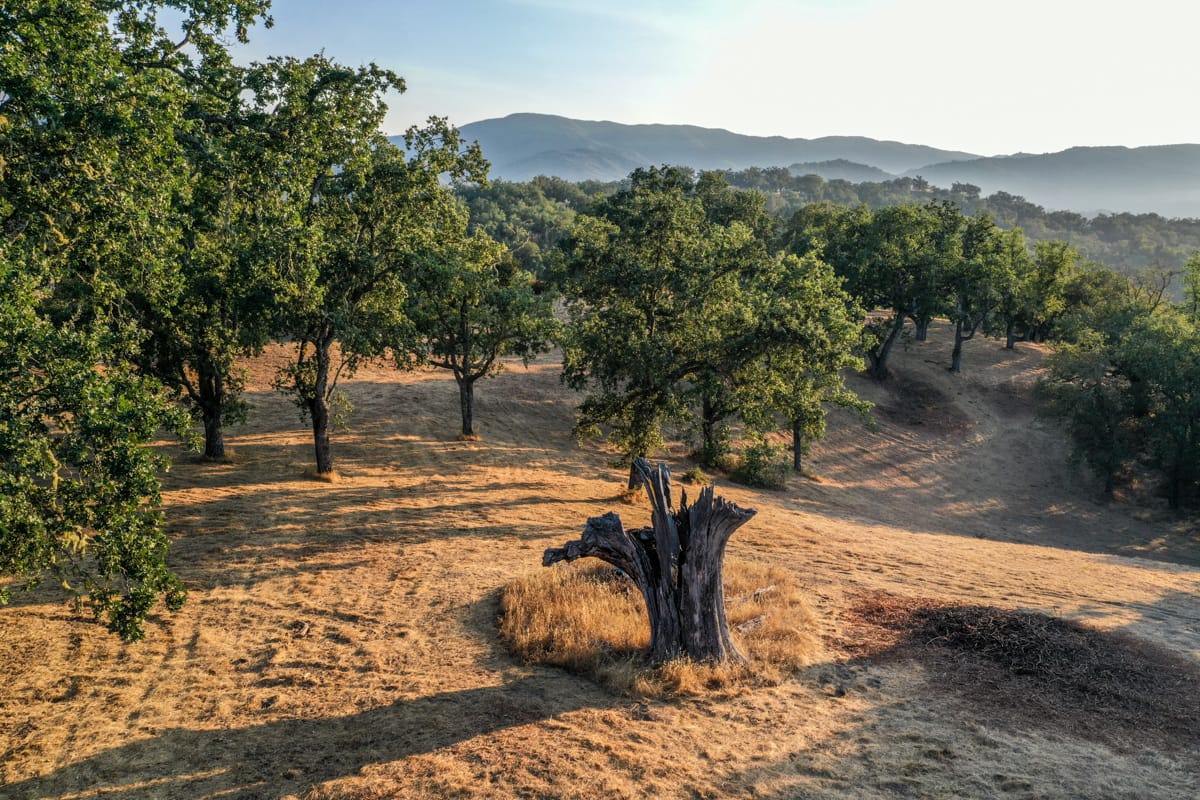 Lot 236
21 Long Ridge Trail  Santa Lucia Preserve