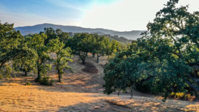 Lot 236
21 Long Ridge Trail  Santa Lucia Preserve