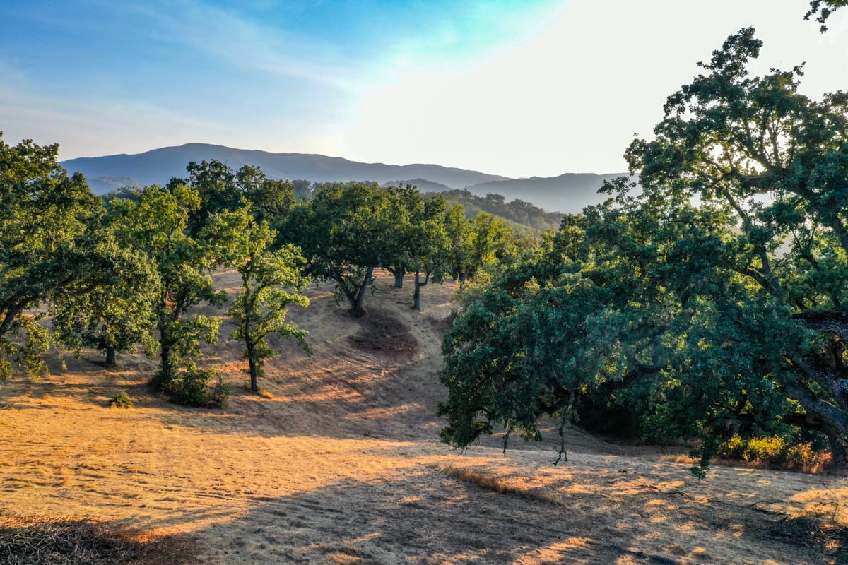 Lot 236
21 Long Ridge Trail  Santa Lucia Preserve