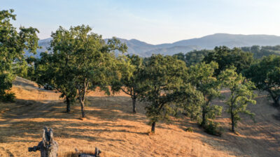 Lot 236
21 Long Ridge Trail  Santa Lucia Preserve