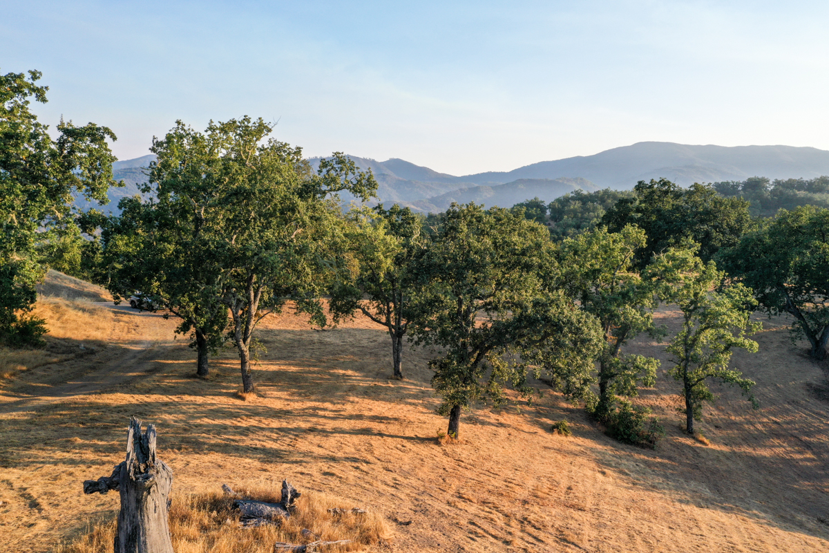 Lot 236
21 Long Ridge Trail  Santa Lucia Preserve