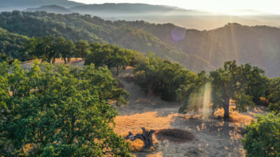 Lot 236
21 Long Ridge Trail  Santa Lucia Preserve