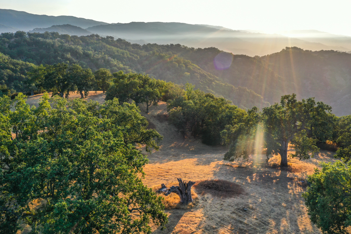 Lot 236
21 Long Ridge Trail  Santa Lucia Preserve