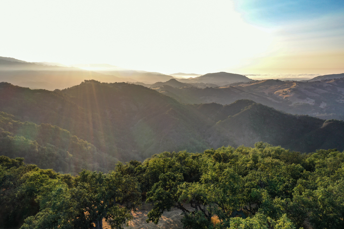 Lot 236
21 Long Ridge Trail Santa Lucia Preserve