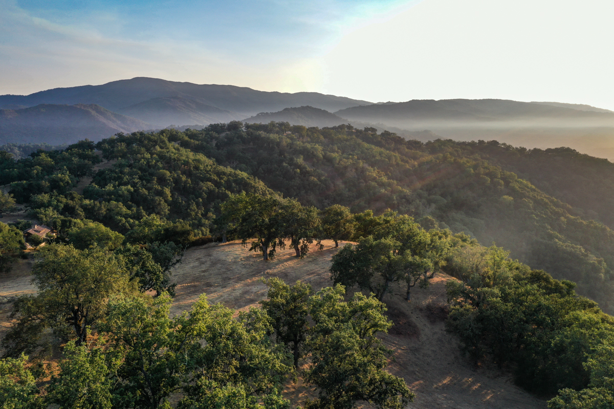 Lot 236
21 Long Ridge Trail Santa Lucia Preserve